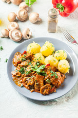 Fresh turkey ragout with mushrooms
