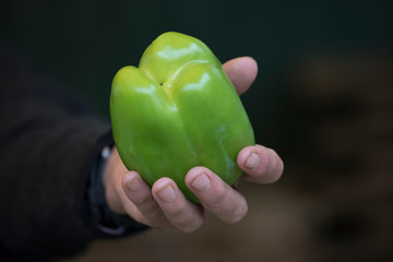 Paprika