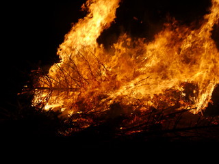 Christbaumverbrennung Weihnachtsbaumverbrennung Feuer Flammen und Feuerwehr