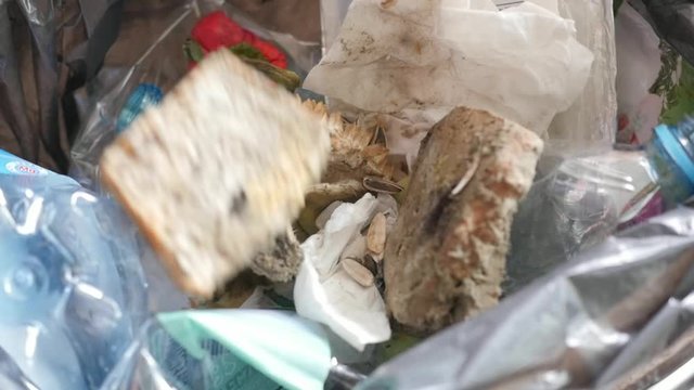 throwing moldy bread in the trash can, slow motion