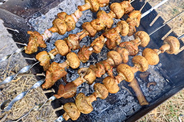Cooking barbecue and fish soup on a bonfire on a picnic outside the city. Summer, 2019.