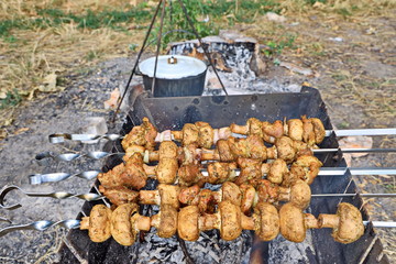 Cooking barbecue and fish soup on a bonfire on a picnic outside the city. Summer, 2019.
