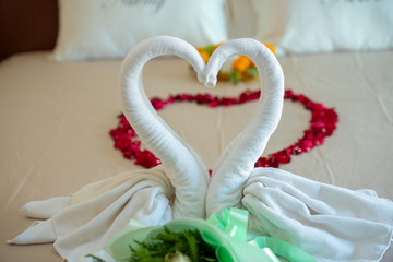 Fold the white cloth into a heart shape and place the flowers on the bed in the hotel.