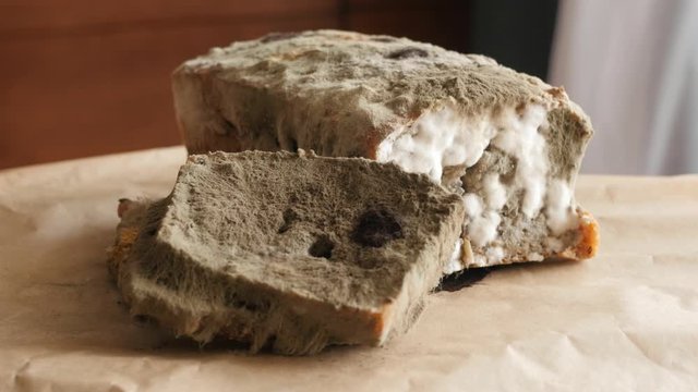 moldy bread rotating, turning round