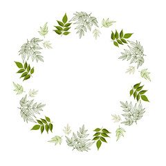 Floral design card with leaves hand drawn, vector.  Herbs forest round isilated on white.