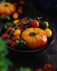 Colorful organic tomatoes in a bowl on dark wooden background
