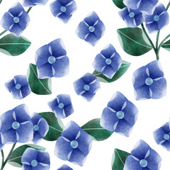 Hydrangea flower seamless pattern