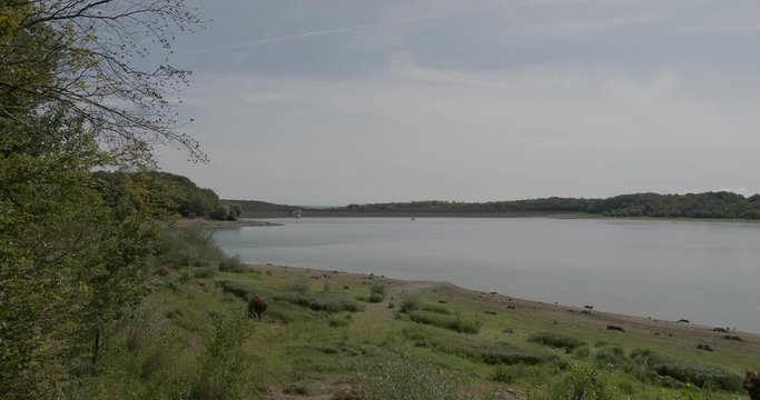 Barrage et lac artificiel de Michelbach et Aspach-le Haut en Alsace, Haut-Rhin. Paysage naturel autour du lac
