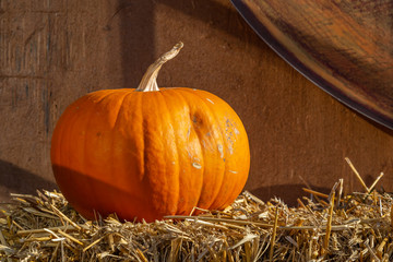 ein Halloween-Kürbis liegt auf Stroh