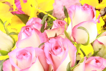 bouquet of pink roses