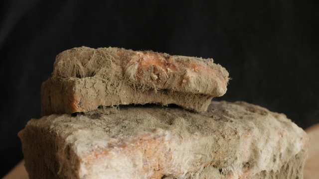moldy bread, mold is in the air