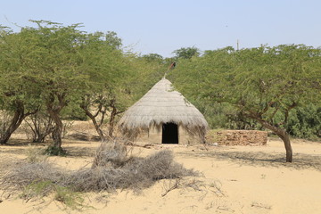 Tharparkar Sindh, Pakistan - March, 2019: View of Green Thar Desert Poor hut house, Women Children Colourful Dress, Barren land Drought in Thar Desert
