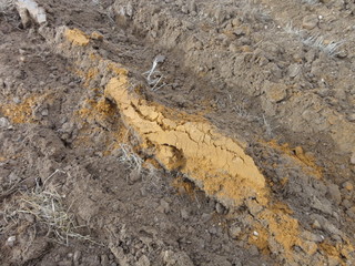 freshly plowed land