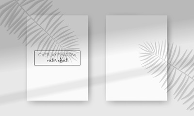 Vector two A4 cards mockup with shadow overlays on top. Organic and window frame shadows for natural light effects. Photo-realistic illustration with palm leaves