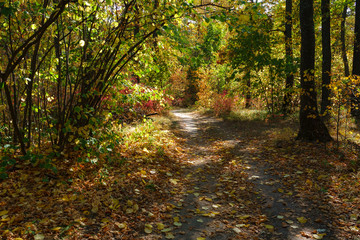 Obraz premium Удивительная природа