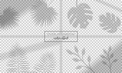 Vector set with shadow overlays  on transparent background. Organic and window frame shadows for natural light effects. Photo-realistic illustration with palm and monstera leaves
