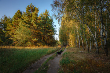 Удивительная природа