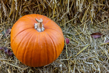 ein Halloween-Kürbis liegt auf Stroh