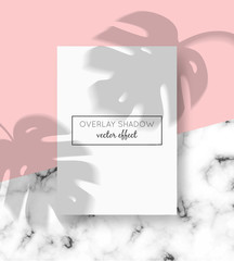 Vector A4 card mockup with shadow overlays on top and stone marble background. Organic shadows for natural light effects. Trendy photo-realistic illustration with monstera leaves