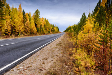 A curving autumn road with colorful forest and mountain in the far distance