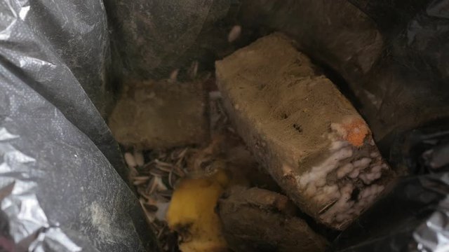opening a bread box and taking moldy bread