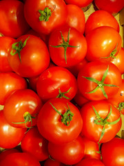 Close-up of fresh tomatoes in the market