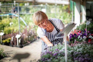 Gardener during work in garden center