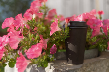 Disposable paper cup of coffee standing on the side next to plentiful blooming pink flowers