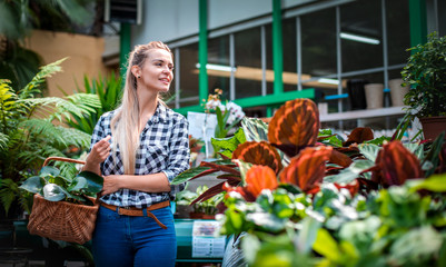 Fototapeta na wymiar Customer woman in garden center looking for plants