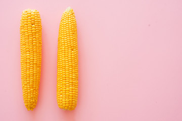 corn on a pink background