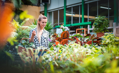 Customer woman in garden center looking for plants