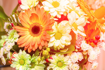 Bouquet of white and orange gerberas in sunlight. Decorative floral arrangement of different...