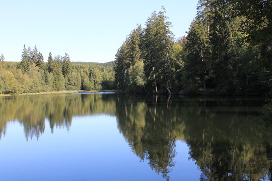 Silberteich
