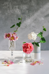 Still life composition with pink flowers in different vases on a grey background