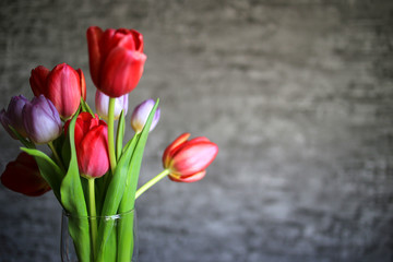Naklejka premium Multicolored tulips