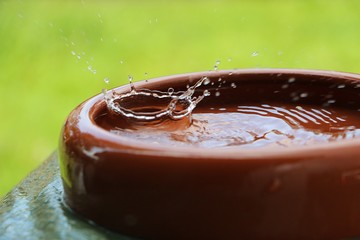 rain is falling in a ceramic feeding bowl full of water