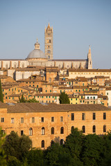 View of Siena, Tuscany in Italy.