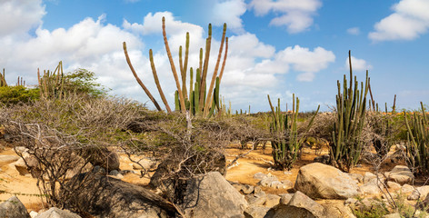 Aruba, Casibari-Felsformationen auf der Insel Aruba, Panorama