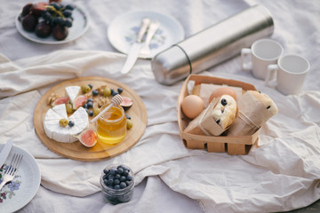 Picnic on the lake with fresh eggs, cheese and sandwiches.
