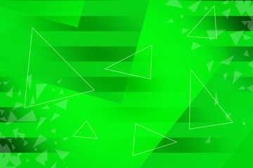 web, spider, dew, nature, cobweb, water, spiderweb, drops, morning, insect, net, macro, pattern, drop, spider web, closeup, wet, design, close-up, green, network, abstract, trap, mist, silk