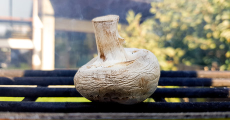 Porcini mushrooms, grilled or grilled. Mushrooms on a trellis in smoke on nature on a sunny summer day. The process of cooking mushrooms on the grill