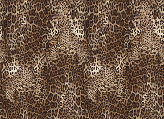 Seamless leopard skin.