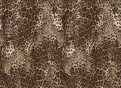 Seamless leopard skin.