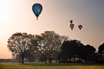 Obraz premium 春の朝飛び立つバルーン