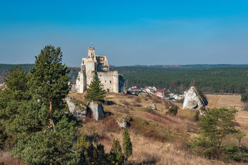 Zamki Jurajskie © Piotr