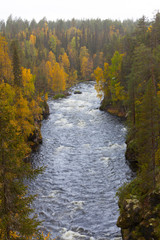 Río Kitka, Parque Nacional de Oulanka. Finlandia.