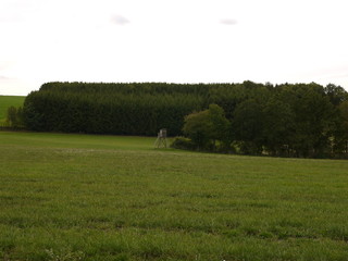 Hochsitz am Waldrand