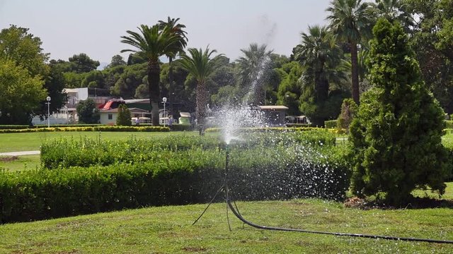 Garden Sprinkler Watering The Lawn. Watering Grass is an awesome stock video that contains footage of sprinklers watering the grass and trees in a lush garden.