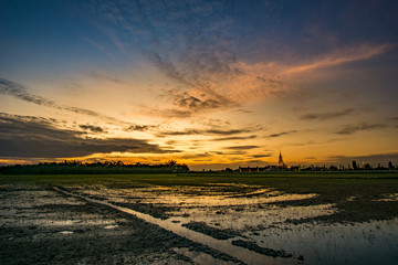 The sky after the sunset over the rice fields