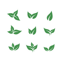 leaf icon vector design illustration